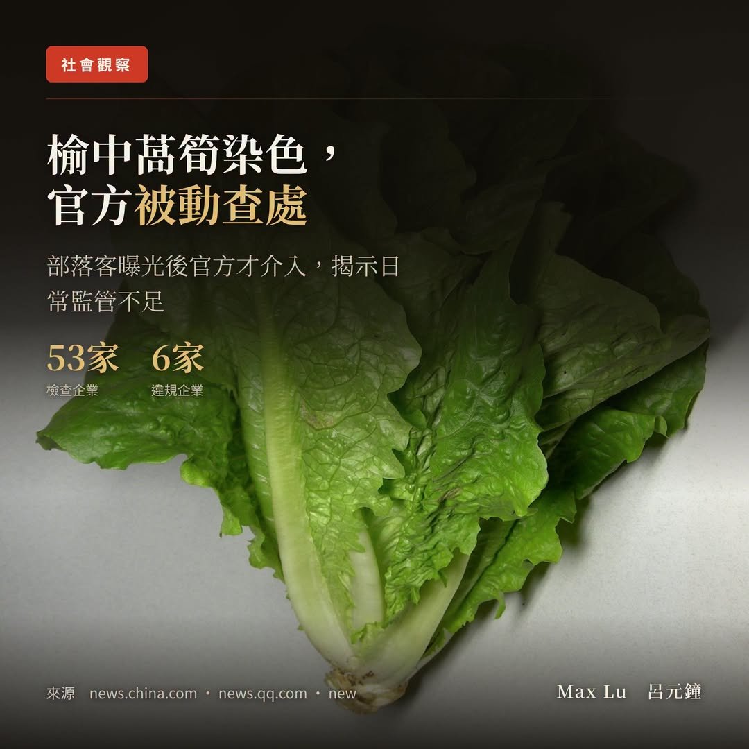 甘肅榆中的萵筍被染色，官方是等部落客爆料才動的